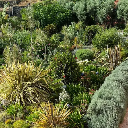 Luxury Ocean Front Villla ヴィラ