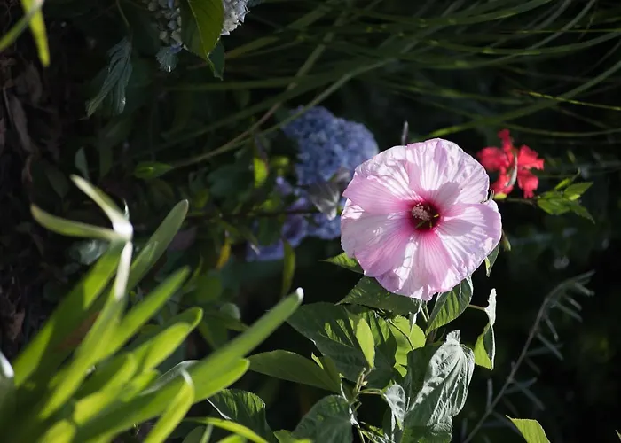 Luxury Ocean Front Villla Vila Calheta (Madeira)