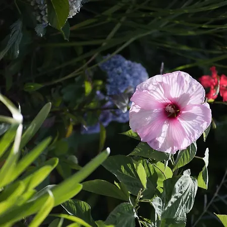 Luxury Ocean Front Villla Βίλα Calheta (Madeira)