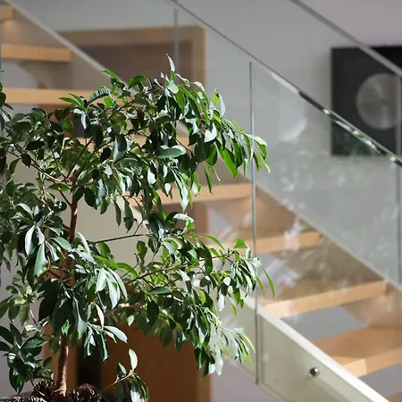 Luxury Ocean Front Villla